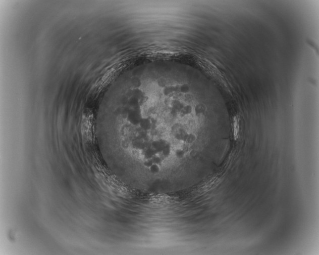 X0000100841059200806201145