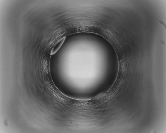 X0000100841060200806201145