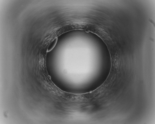 X0000100841061200806201145