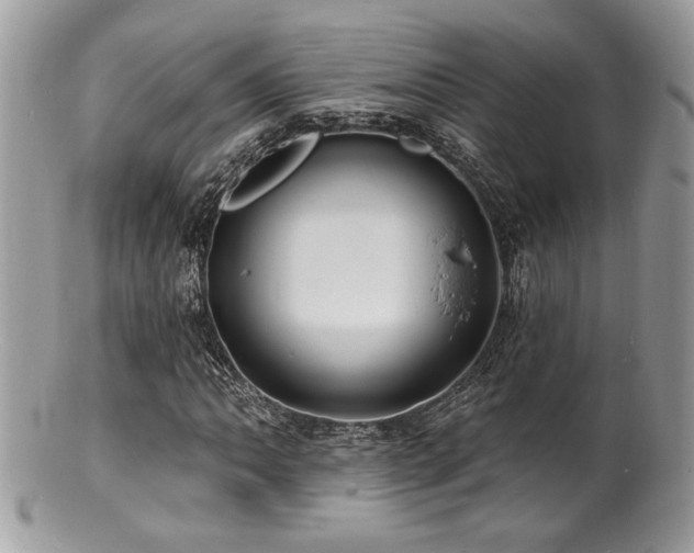 X0000100841062200806201145