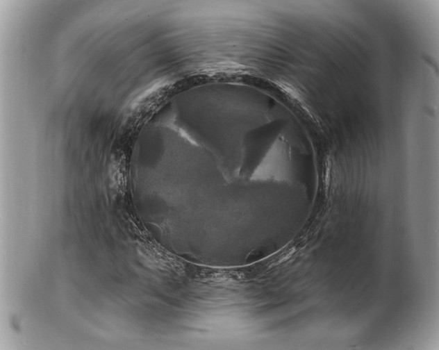 X0000100841063200806201145