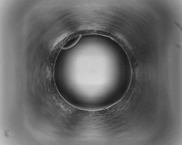 X0000100841064200806201145