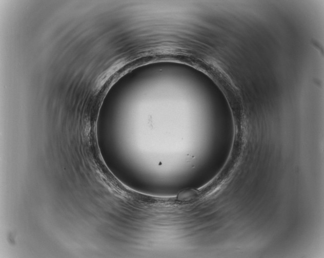 X0000100841065200806201145