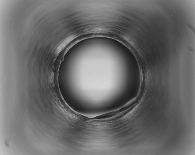 X0000100841066200806201145