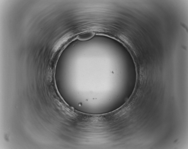 X0000100841067200806201145