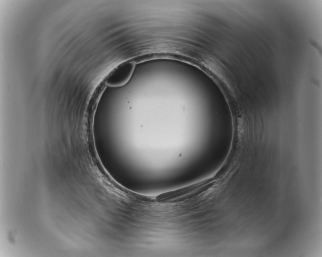 X0000100841068200806201145