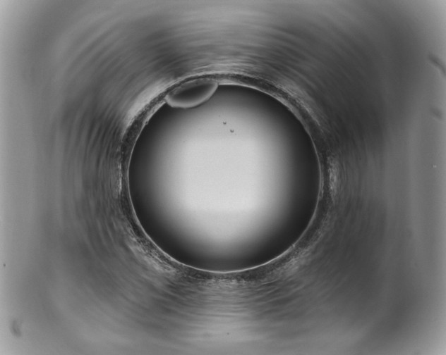 X0000100841069200806201145