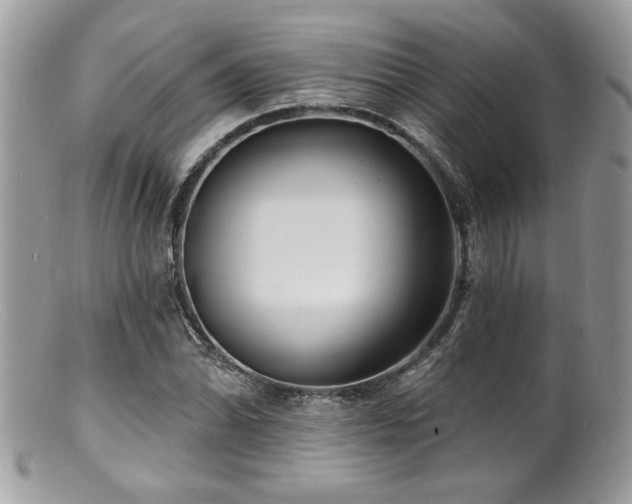 X0000100841070200806201145