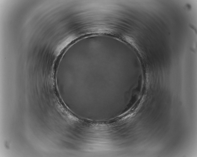 X0000100841071200806201145