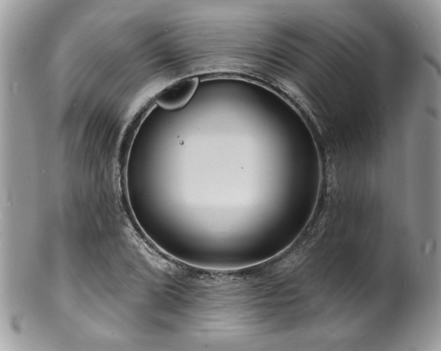 X0000100841072200806201145