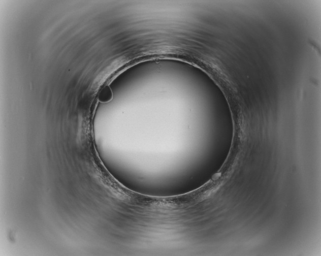 X0000100841073200806201145