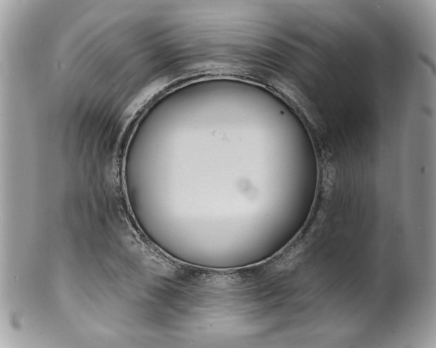 X0000100841074200806201145