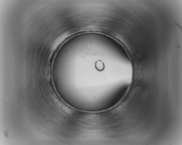 X0000100841075200806201145