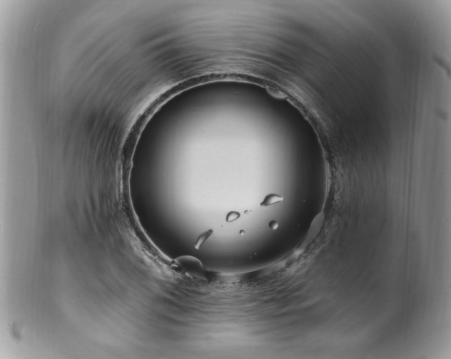 X0000100841076200806201145