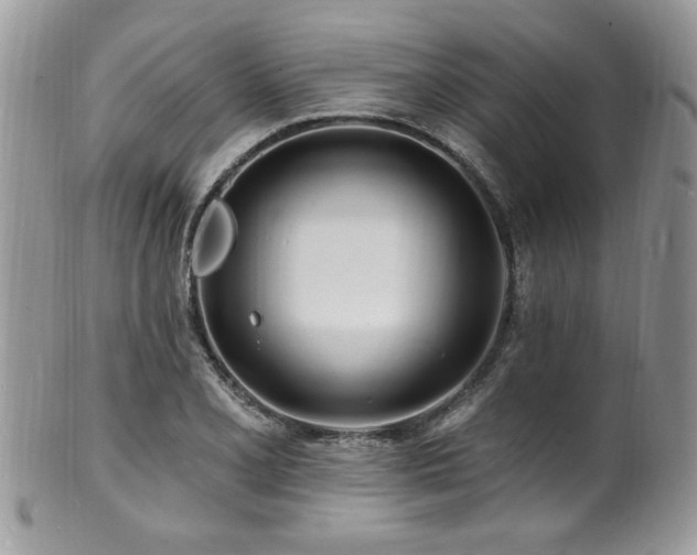 X0000100841077200806201145