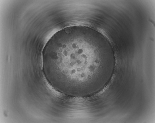 X0000100841079200806201145