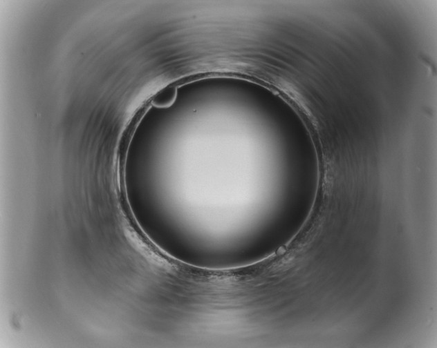 X0000100841080200806201145