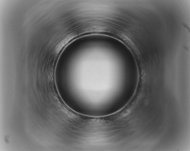 X0000100841081200806201145