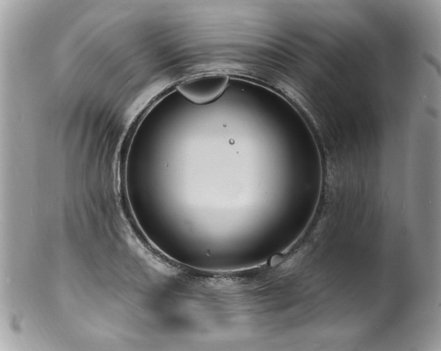 X0000100841082200806201145