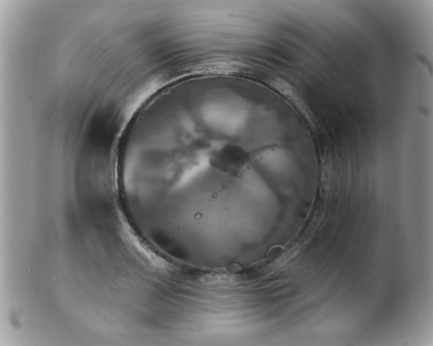 X0000100841083200806201145