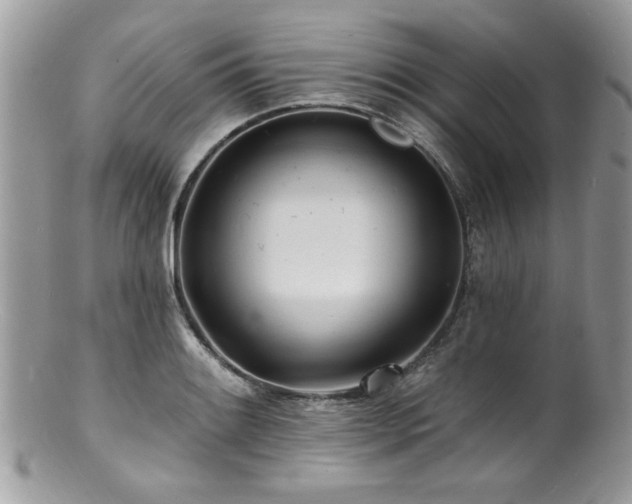 X0000100841084200806201145