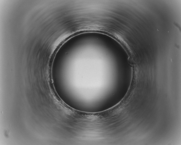 X0000100841085200806201145