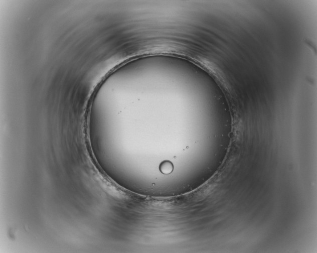 X0000100841086200806201145