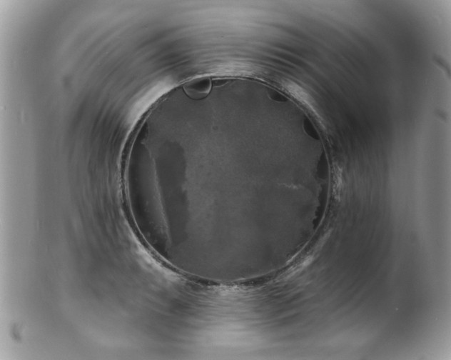 X0000100841087200806201145