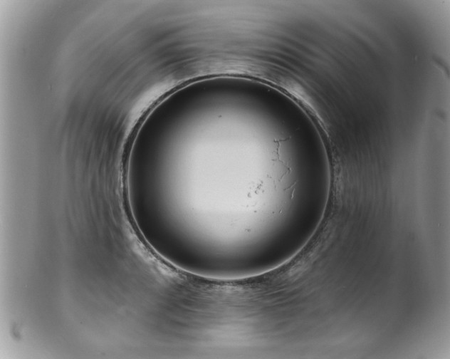 X0000100841088200806201145