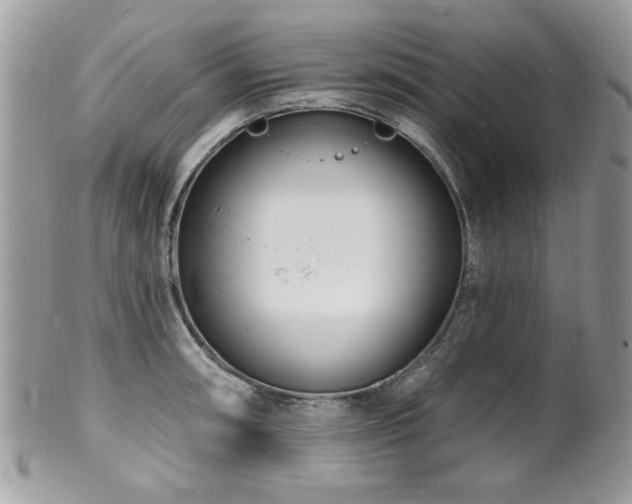 X0000100841090200806201145