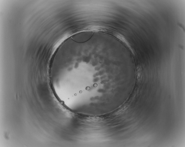 X0000100841091200806201145