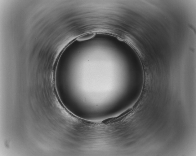 X0000100841092200806201145