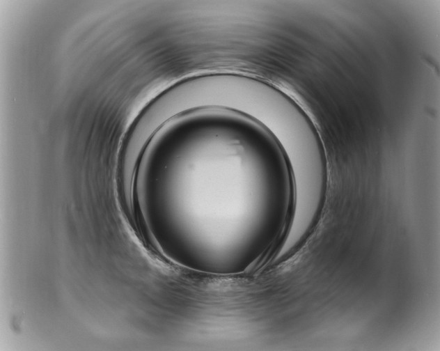 X0000100841093200806201145