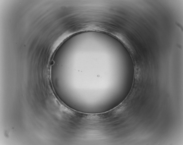 X0000100841094200806201145