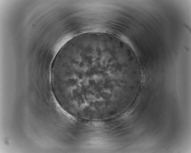 X0000100841095200806201144