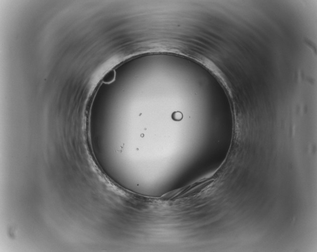 X0000100841096200806201144