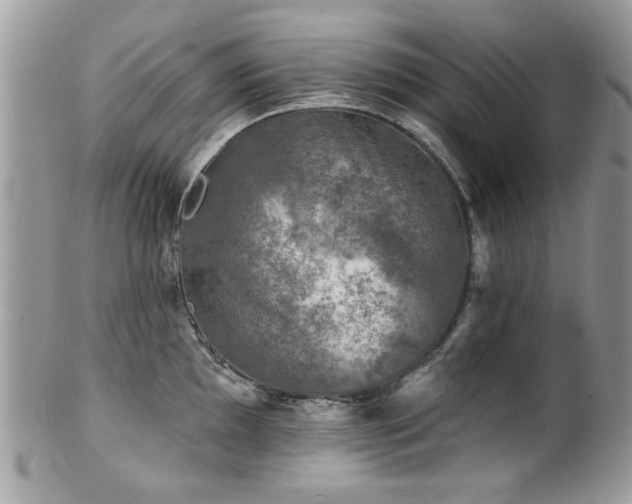 X0000100841097200806201144