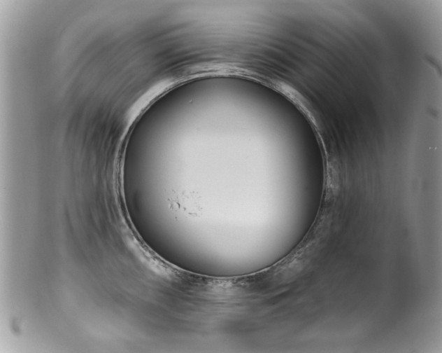 X0000100841098200806201144