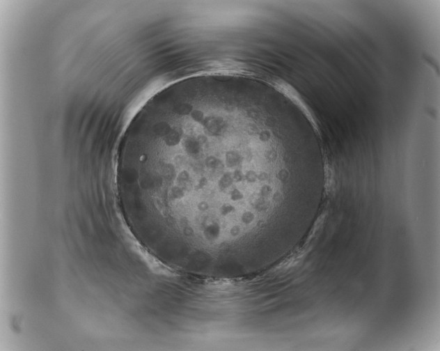 X0000100841099200806201144