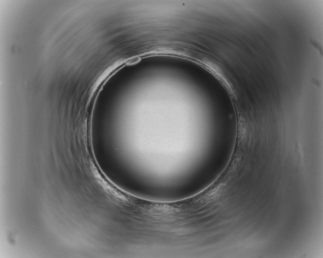 X0000100841100200806201144