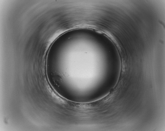 X0000100841102200806201144