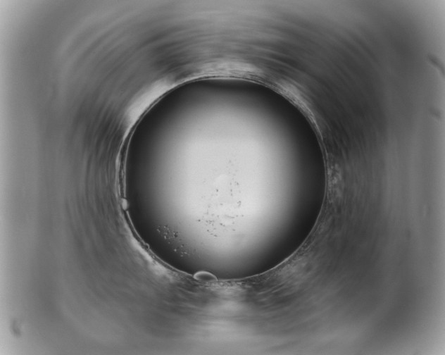 X0000100841103200806201144