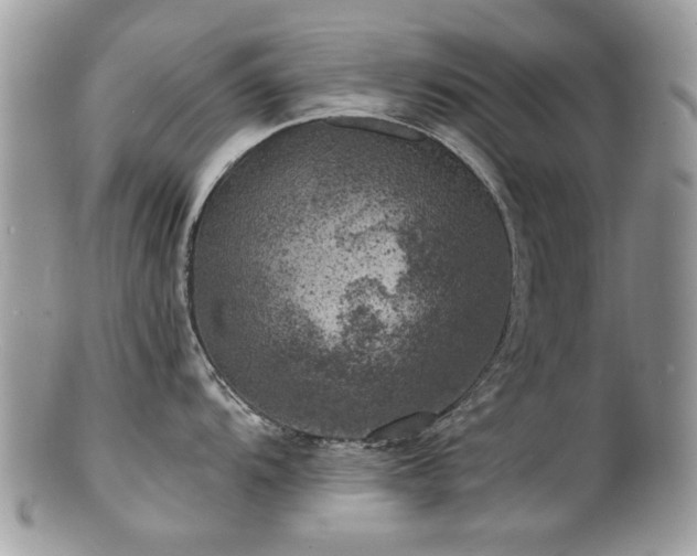 X0000100841104200806201144