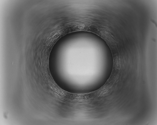 X0000100841105200806201144