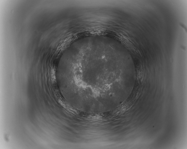 X0000100841106200806201144