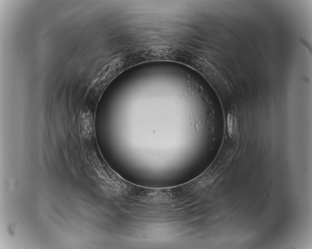 X0000100841107200806201144