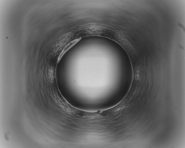 X0000100841108200806201144