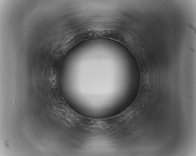 X0000100841109200806201144