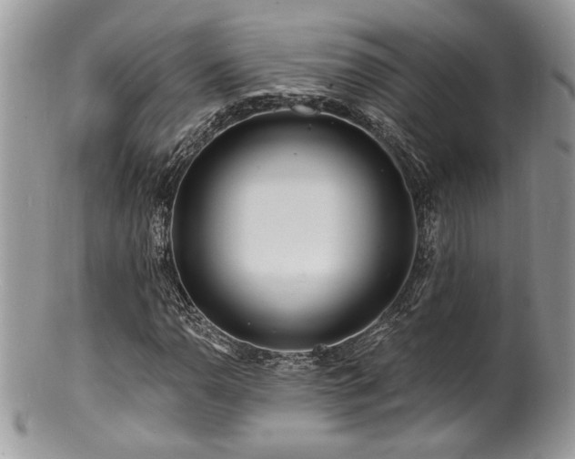 X0000100841110200806201144