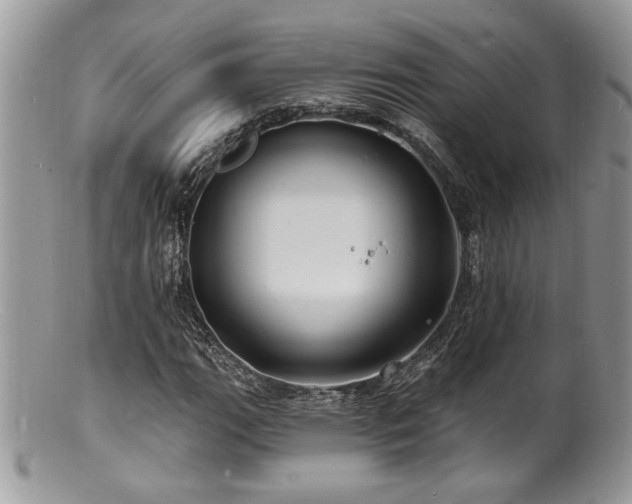 X0000100841111200806201144